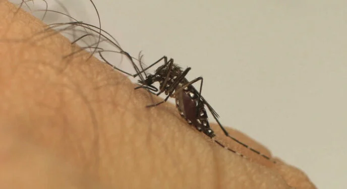 Várzea Nova confirma óbito por Dengue!